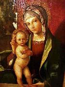 Boccaccio Boccaccino Virgin and Child oil on canvas